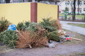 Christmas tree throw away